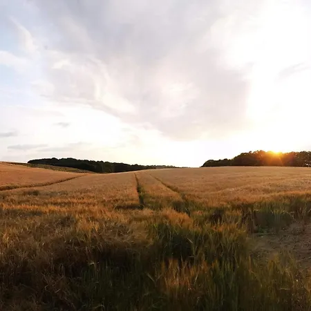 Holiday home 6 Person In Hejls-by Traum