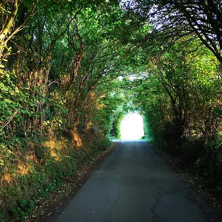 6 Person In Hejls-by Traum