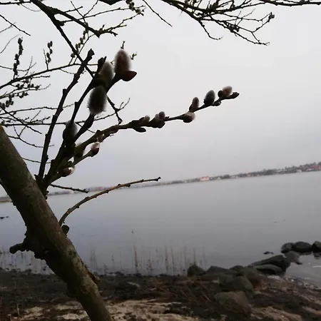 6 Person In Hejls-by Traum Hejls