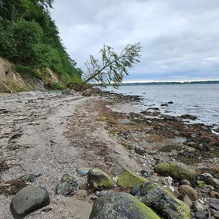 6 Person In Hejls-by Traum